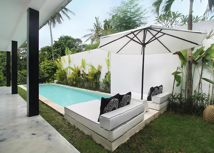 Jungle's Door By Is Simple *