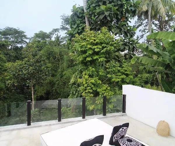 Villa Jungle's Door By Is Simple